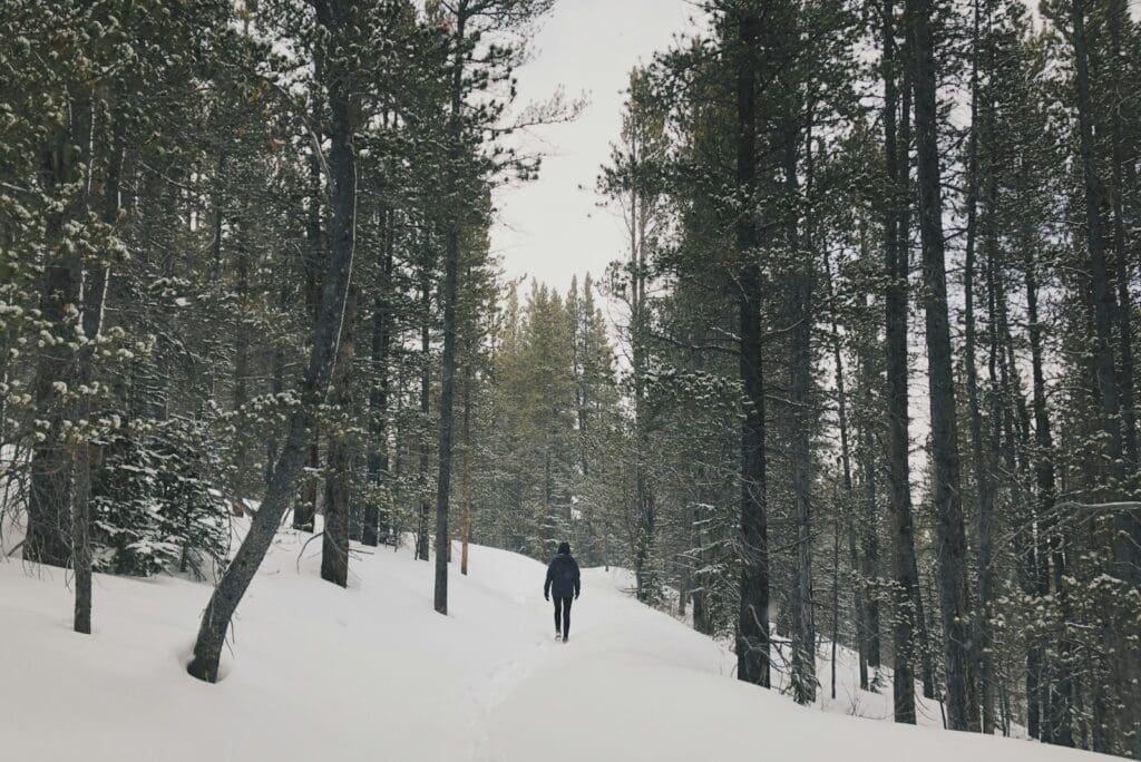 person in black jacket walking on snow getting their daily dose of Vitamin D