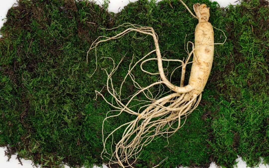 What are the benefits of Red Korean Ginseng?