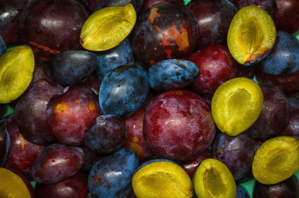 a pile of plums and some plums are cut in half. dried plums are prunes 