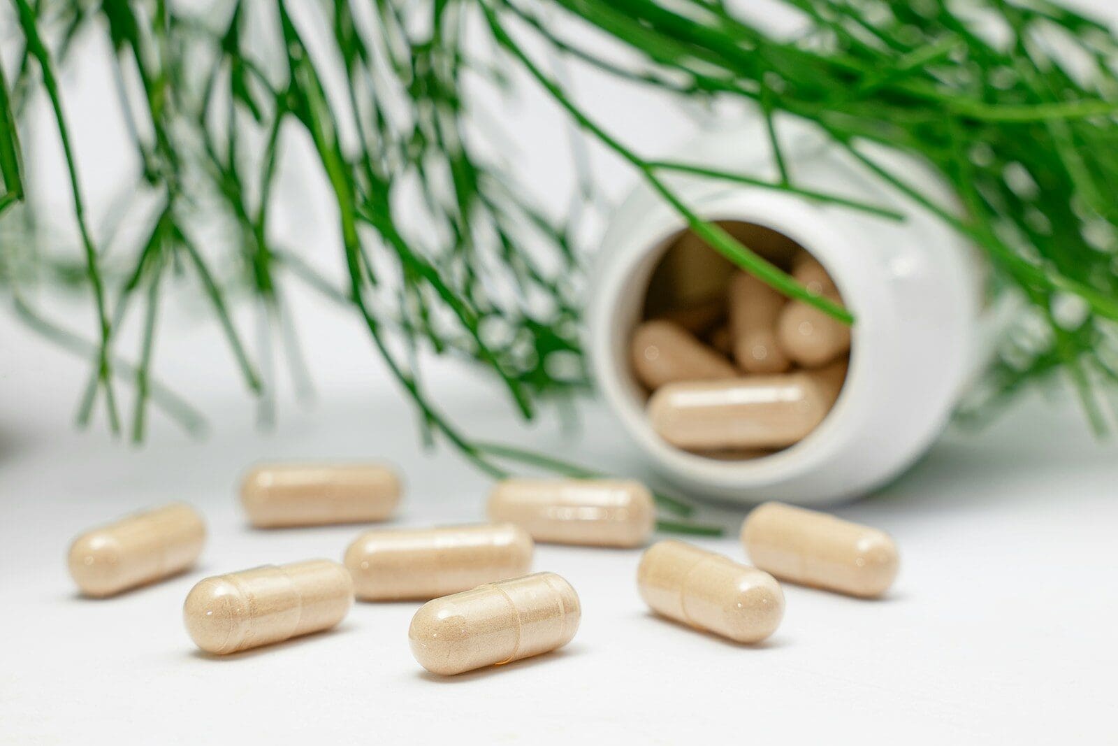 a group of herbal supplements spilling from a pill bottle and a green plant