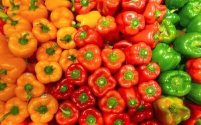 Why You Need Vitamin C Every Single Day!